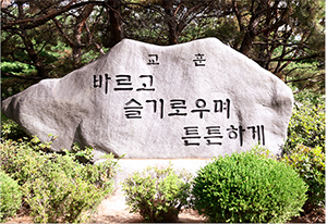 교조